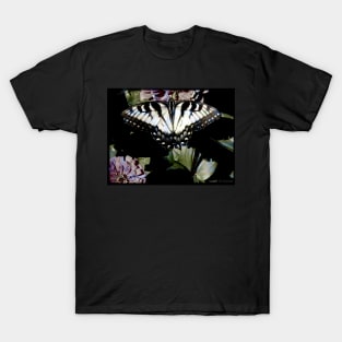 Swallowtail Butterfly T-Shirt